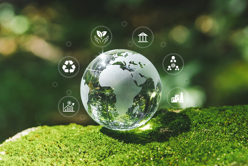 multiple INTERNATIONAL Certificates