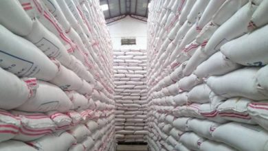 The Filipino Times PH prepares for typhoon season through rice imports 1