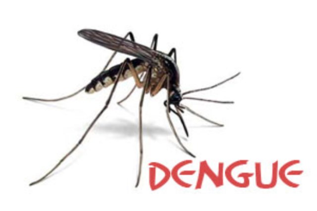 PH records 25,000 dengue cases in July - The Filipino Times