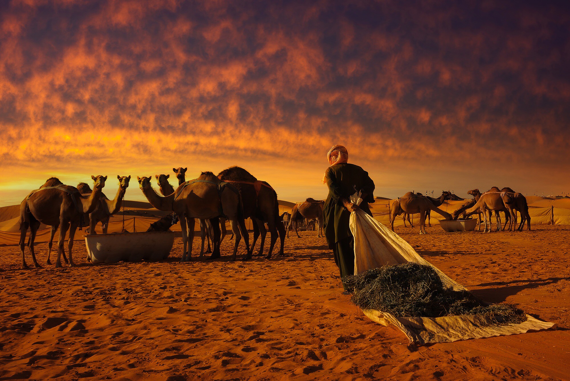 SEPIA FEED by Ferdz Bedana