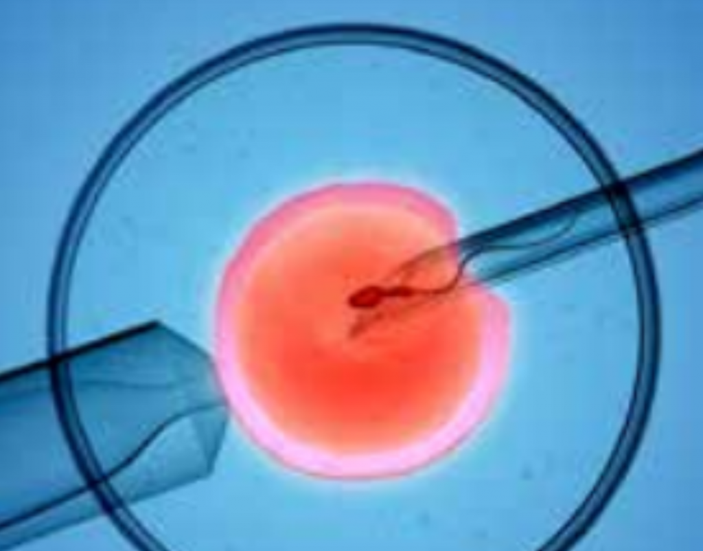 Future of IVF technology promises exciting prospects, higher success