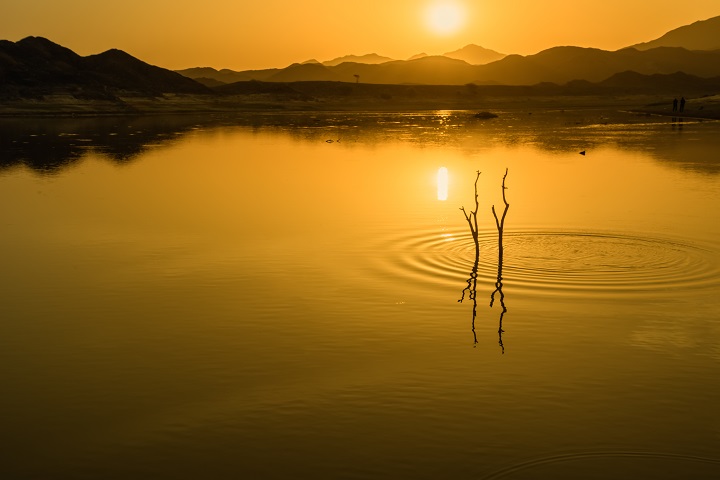 PROMISES OF THE SUN by Reiner Garcia