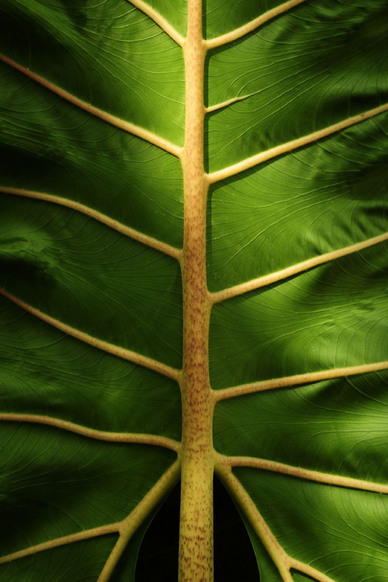 8bfd7448040106bc2cf39fe2d4c4dd5e