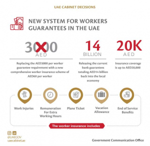 employment dubai in visa fees UAE Know Visa What Amnesty About You Must Program