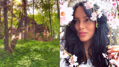 Screen Shot 2018 07 29 at 3.29.17 PM 1