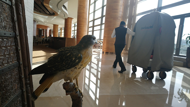 DAILY GRIND by Jojo Dass