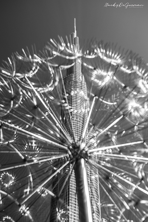 NOCTURNAL by Mark de Guzman