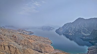 THE OUTBACK by Omara Anjum 1