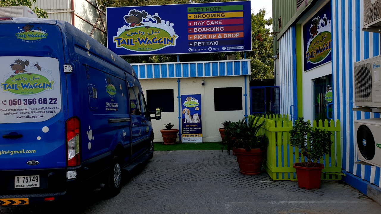 Get your pet glammed and groomed up at TailWaggin’ The Filipino Times