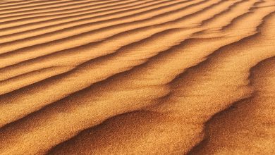 DRY WAVE by Rhaine 1