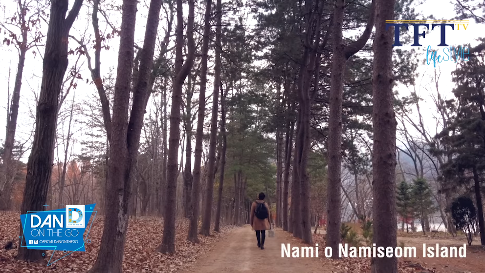 3 nami island b