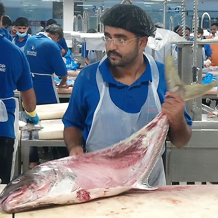 CATCH OF THE DAY by Jojo Dass