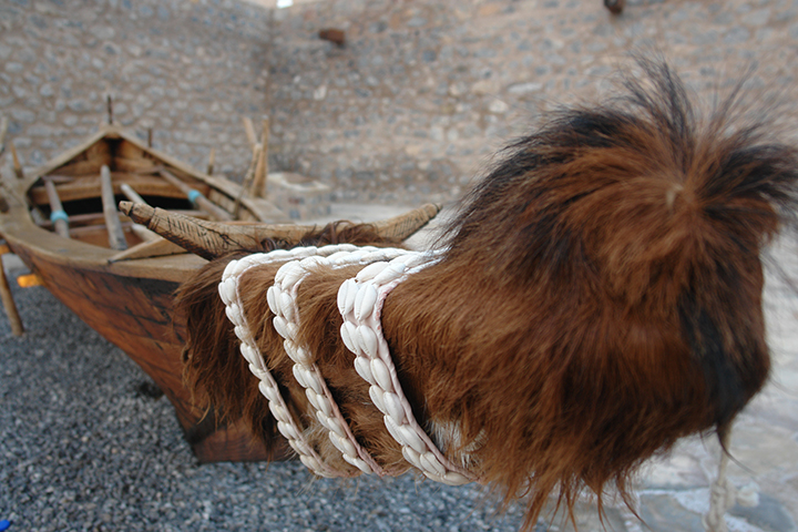 HAIRY TRAVELER by Jojo Dass