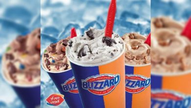 dq blizzard 1