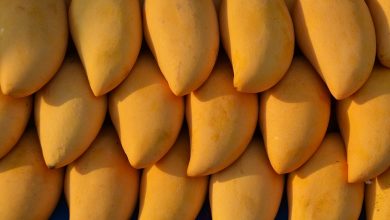 mangoes 1