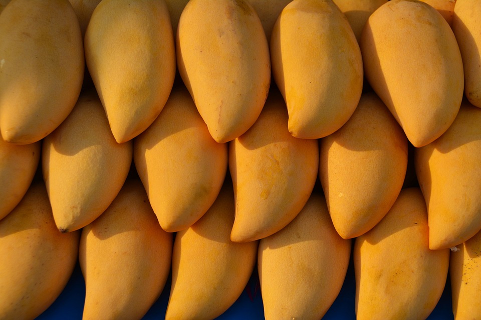 Pakistani mangoes hit the UAE markets The Filipino Times