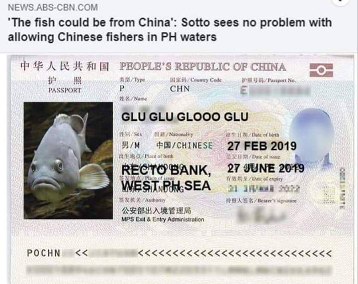 Sotto S Fish From China Comments Trigger Online Memes The