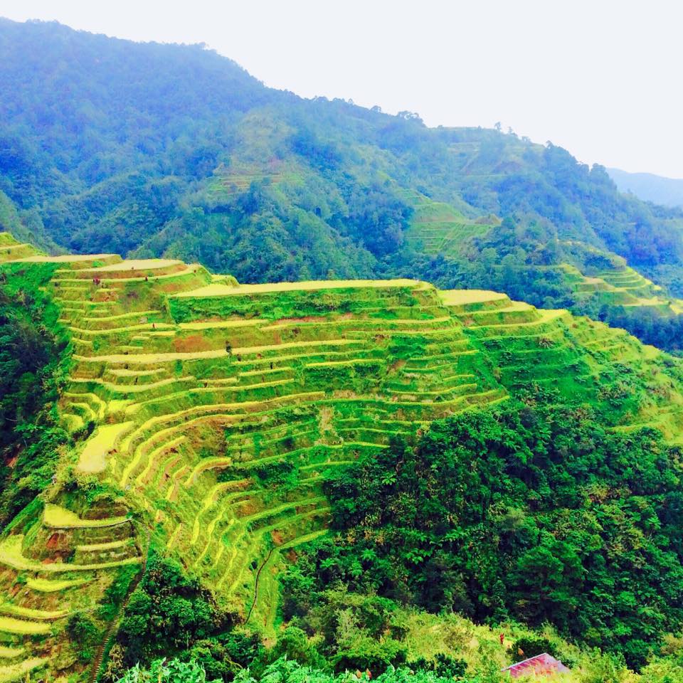 FOR HIKING Banaue Rice Terraces 1
