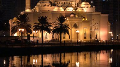 PALATIAL by Connie Monroy 1