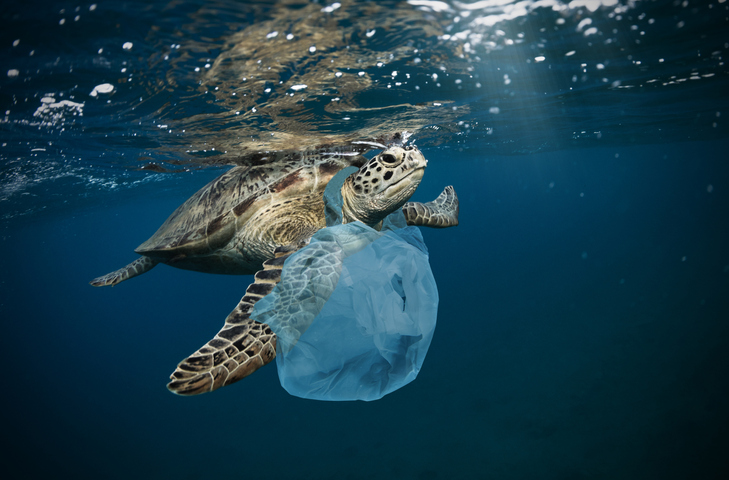 Filipino Scientist Finds Plastic Waste In Third Deepest Ocean Trench 