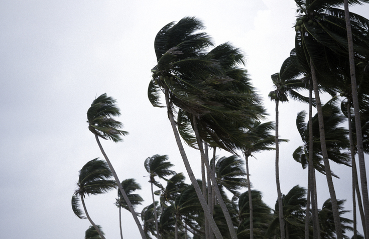 Tropical storm Jenny, re-intensified, moving west, northwest over West ...