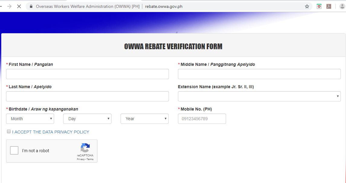 OFWs Can Now Check Their OWWA Rebate Through Online Portal The 