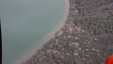 82775166 848546278939457 172701773138493440 o