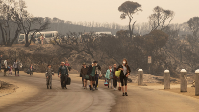 australia bushfires