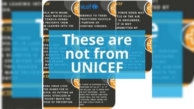 UNICEF Chats fake