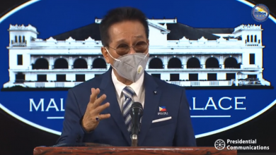 panelo face mask malacanang