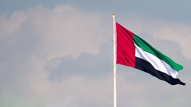 uae flag