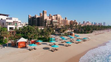 Dubai Tourism the palm 1