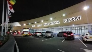 naia at night 1