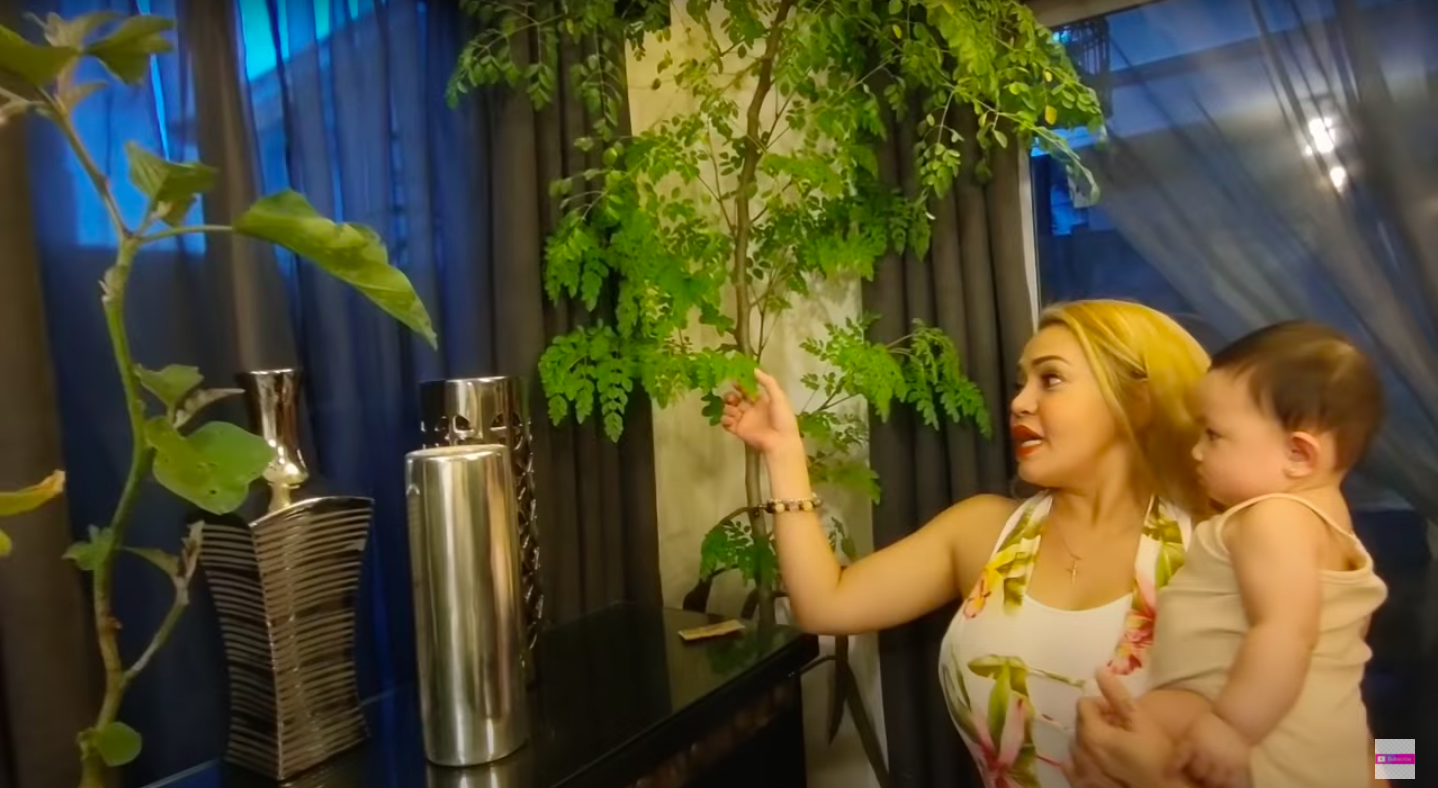 What Are All The Plants Plantita Of The Hour, Jinkee Pacquiao