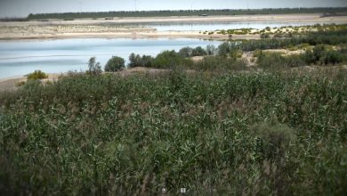 al wathba wetland reserve