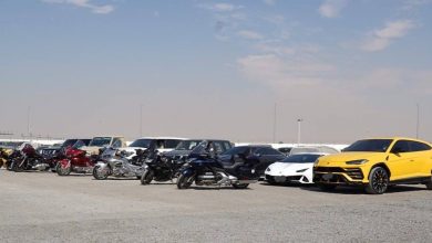 150493475 3935029499888820 5767898694478056160 o