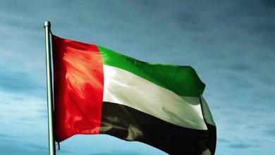 uae flag