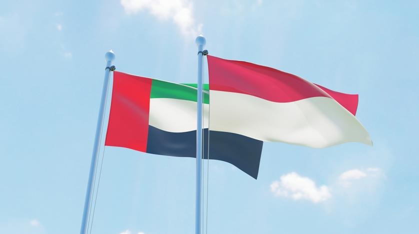 UAE sends aid plane to Indonesia with 48 metric tons of food supplies ...