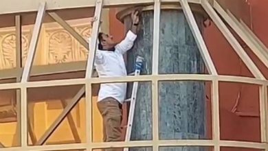 Man rescues bird in Dubai