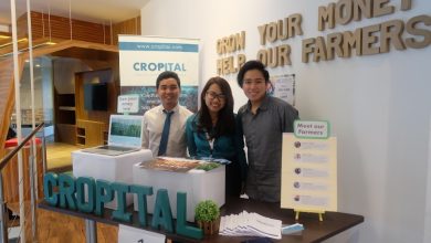 Cropital 1