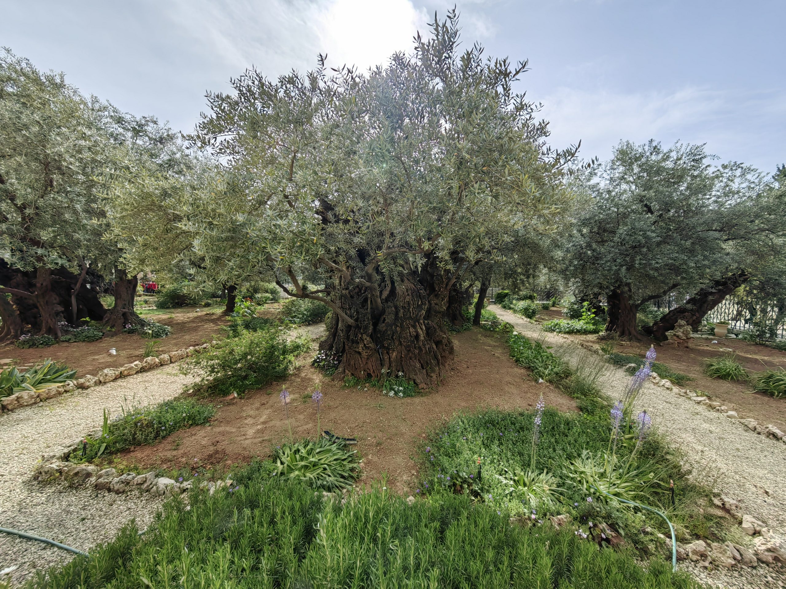 Travelwings review 9 scaled