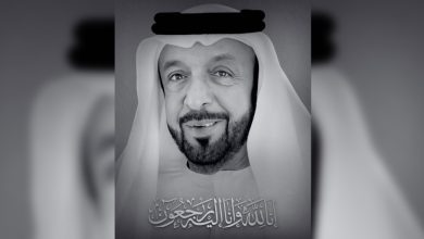 Khalifa bin Zayed 2