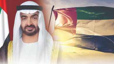 mbz uae flag mohamed bin zayed