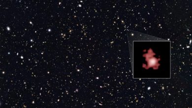 GN-z11 as captured by Hubble | NASA, ESA, P. Oesch (Yale University), G. Brammer (STScI), P. van Dokkum (Yale University), and G. Illingworth (University of California, Santa Cruz)