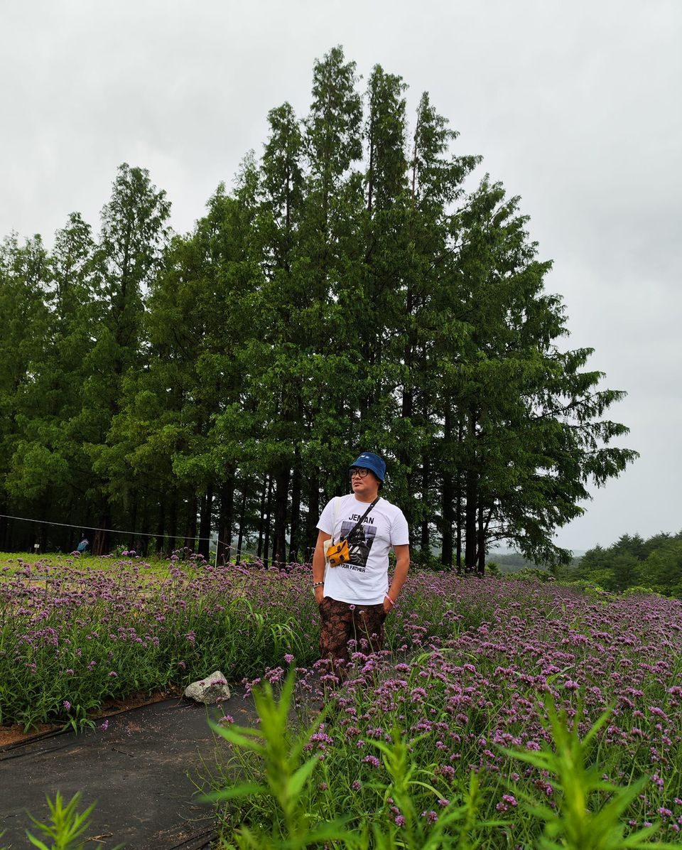 purples lavander e1658384928621