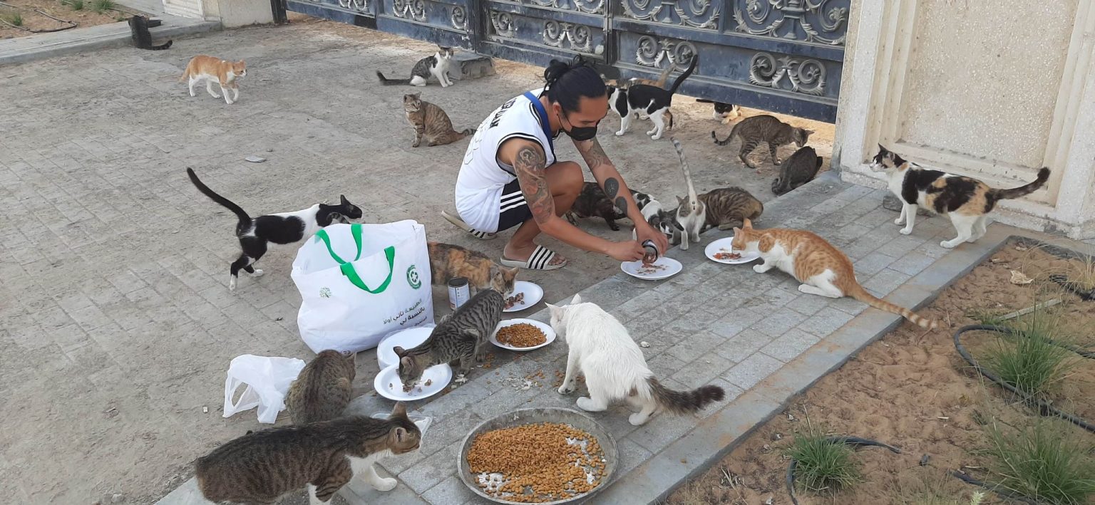 Pinoy rescues kitten in bad shape found in streets of Abu Dhabi; cat