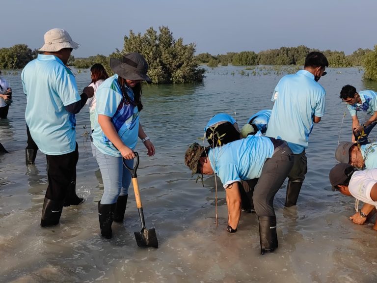 Filipinos in UAE contribute to Sheikh Zayed's legacy with Mangrove Tree ...