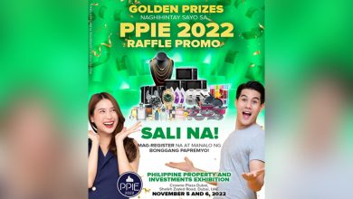 all prizes ppie landscape