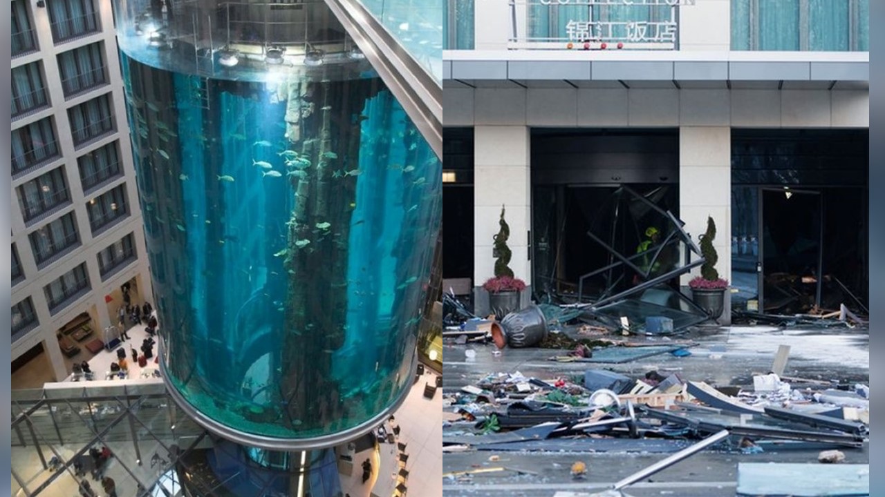 Catastrophic incident at Berlin's AquaDom aquarium causes injuries ...