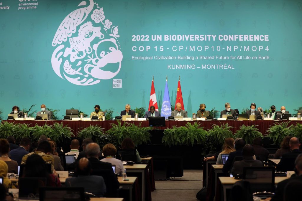 UN Biodiversity Summit Adopts Historic Accord To Reverse Environmental ...